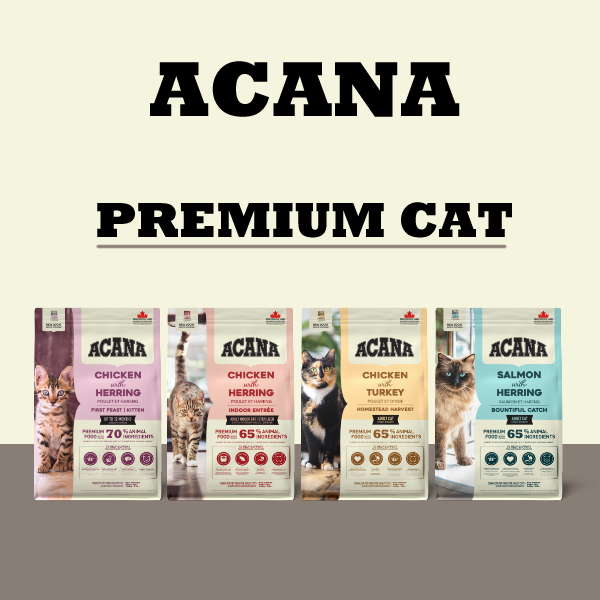Acana Premium Cat 